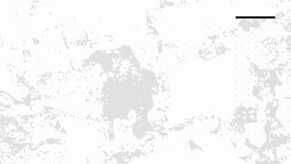 Les filles et les travaux publics