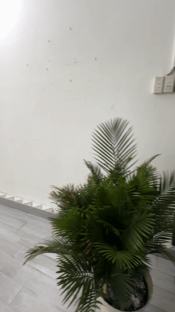 Cho thuê Nhà ở Thành phố Thủ Đức Tp Hồ Chí Minh diện tích 50 m² giá 6 triệu/tháng