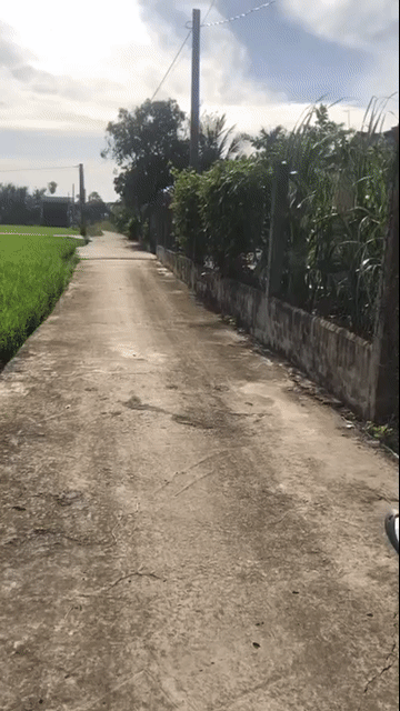 Mua bán Đất Huyện Tân Trụ Long An diện tích 843 m² giá 3,2 tỷ