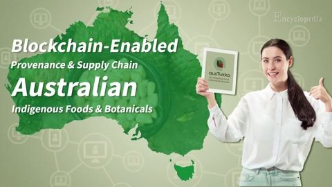 Blockchain-Enabled Provenance and Supply Chain Governance for Indigenous Foods and Botanicals