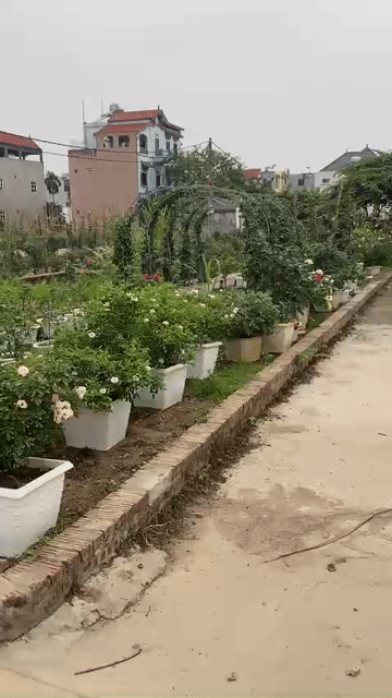 Mua bán Đất Huyện Mê Linh Hà Nội diện tích 36 m² giá 66 triệu