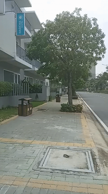 Cho thuê Nhà ở Khu Đô Thị Dragon Village Thành phố Thủ Đức Tp Hồ Chí Minh diện tích 110 m² giá 6,5 triệu/tháng