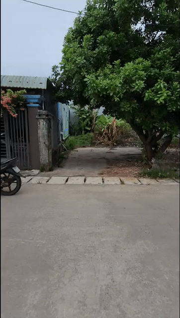 Mua bán Đất Huyện Hòa Vang Đà Nẵng diện tích 125 m² giá 2,4 tỷ