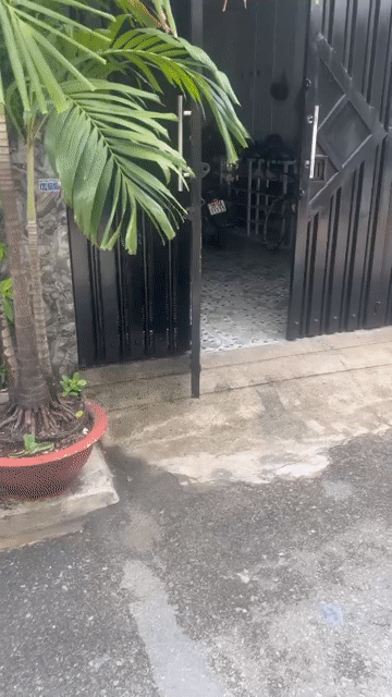 Mua bán Nhà ở Quận 12 Tp Hồ Chí Minh diện tích 80 m² giá 6,6 tỷ