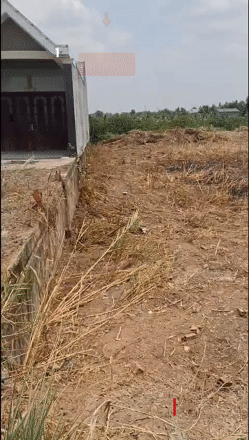 Mua bán Đất Huyện Thủ Thừa Long An diện tích 1000 m² giá 3,25 tỷ