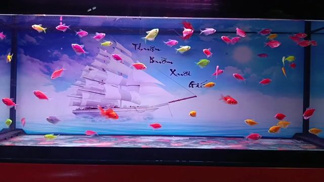 Hồ cá 90x30x40cm. Mua bán Phụ kiện, Thức ăn, Dịch vụ tại Thị xã Phú Mỹ Bà Rịa - Vũng Tàu được đăng bởi Pets  hình 1
