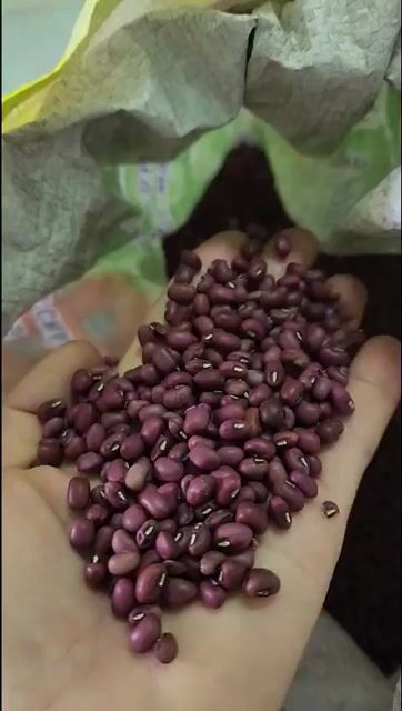 Đậu đỏ . Mua bán Đồ ăn, thực phẩm và các loại khác tại Quận Ngũ Hành Sơn Đà Nẵng được đăng bởi Dương thị thu vân hình 1
