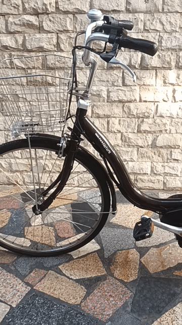 Xe đạp trợ lực Yamaha 26 inch Nhôm Nâu. Mua bán Xe đạp tại Quận Tân Bình Tp Hồ Chí Minh được đăng bởi bảo Ý hình 1
