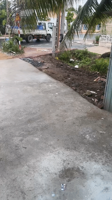 Cho thuê Nhà ở T&T Tamda Vĩnh Long Thành phố Vĩnh Long Vĩnh Long diện tích 360 m² giá 7 triệu/tháng