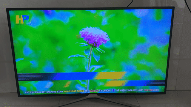 Thanh lý Tivi Samsung 49 inch Smart TV. Mua bán Tivi, Âm thanh tại Thành phố Mỹ Tho Tiền Giang được đăng bởi Trang hình 1
