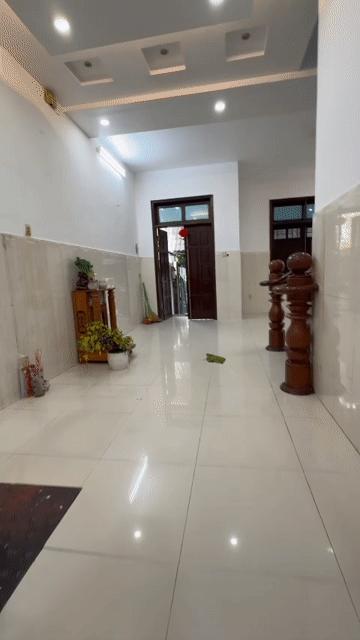 Cho thuê Nhà ở Quận 12 Tp Hồ Chí Minh diện tích 120 m² giá 20 triệu/tháng