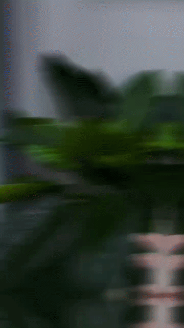 Apple iPhone 16 Pro Max 256GB Vàng Gold. Mua bán Điện thoại tại Thành phố Mỹ Tho Tiền Giang được đăng bởi Hoàng Thành Apple hình 1
