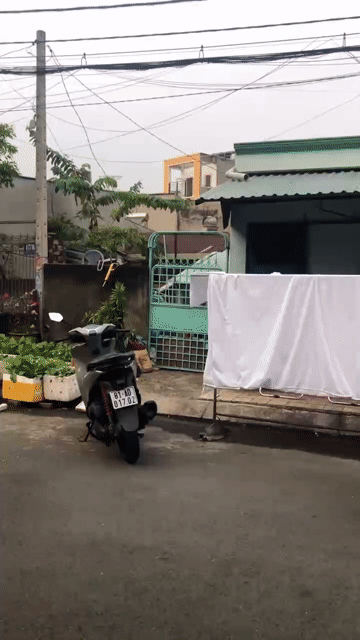 Mua bán Nhà ở Thành phố Thủ Đức Tp Hồ Chí Minh diện tích 110 m² giá 10 tỷ