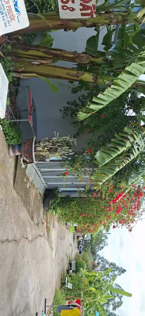 Mua bán Đất Quận Bình Thuỷ Cần Thơ diện tích 99 m² giá 920 triệu