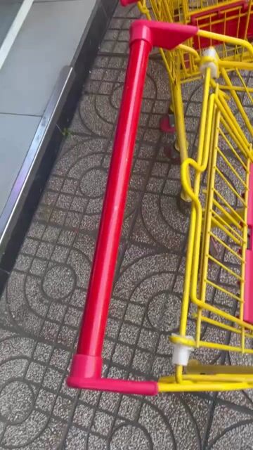 Xe đẩy hàng kim loại Vàng. Mua bán Đồ chuyên dụng, Giống nuôi trồng tại Quận Gò Vấp Tp Hồ Chí Minh được đăng bởi Shop Pham Duyen hình 1