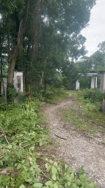 Mua bán Đất Huyện Tịnh Biên An Giang diện tích 7671 m² giá 5 tỷ