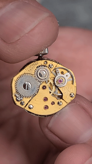 Đồng hồ Rotary Nữ Thụy Sĩ Cót tay Dây chun. Mua bán Đồng hồ tại Huyện Kiên Lương Kiên Giang được đăng bởi Đông Hồ hình 1