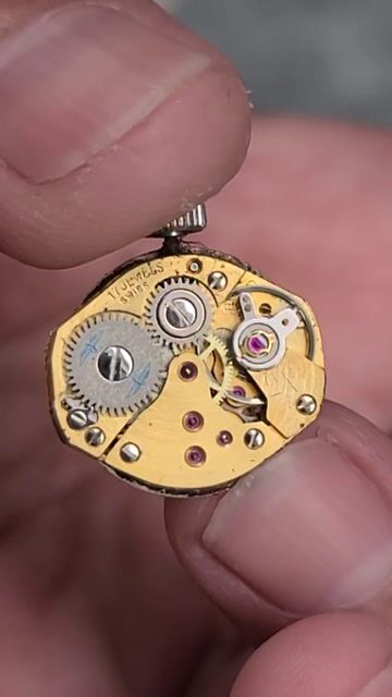 Đồng hồ Rotary Nữ Thụy Sĩ Cót tay Dây chun. Mua bán Đồng hồ tại Huyện Kiên Lương Kiên Giang được đăng bởi Đông Hồ hình 1