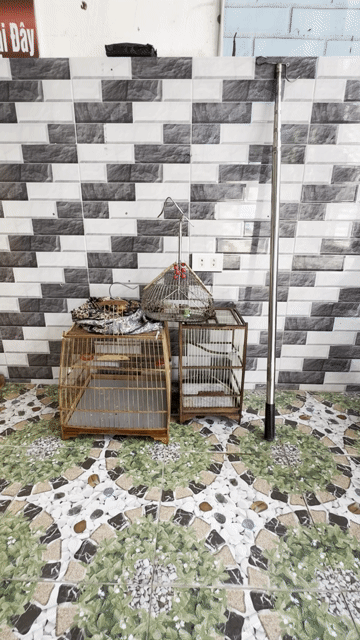 Lồng chim tre kim loại. Mua bán Phụ kiện, Thức ăn, Dịch vụ tại Huyện Long Thành Đồng Nai được đăng bởi Duc hình 1