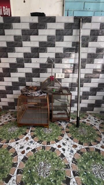 Lồng chim tre kim loại. Mua bán Phụ kiện, Thức ăn, Dịch vụ tại Huyện Long Thành Đồng Nai được đăng bởi Duc hình 1