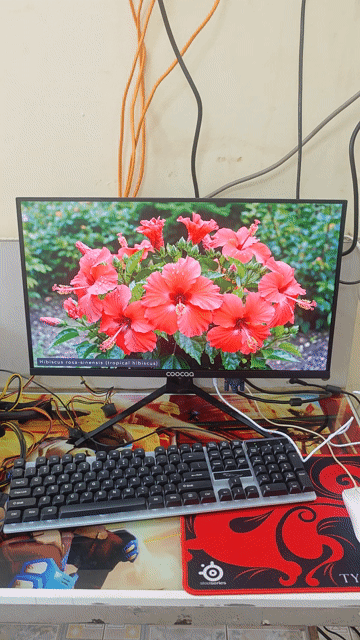 Màn hình 22 inch Full HD 75Hz VGA HDMI. Mua bán Phụ kiện (Màn hình, Chuột...) tại Thành phố Buôn Ma Thuột Đắk Lắk được đăng bởi VI TÍNH QUỐC NGUYÊN  hình 1