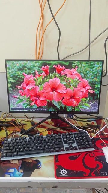 Màn hình 22 inch Full HD 75Hz VGA HDMI. Mua bán Phụ kiện (Màn hình, Chuột...) tại Thành phố Buôn Ma Thuột Đắk Lắk được đăng bởi VI TÍNH QUỐC NGUYÊN  hình 1