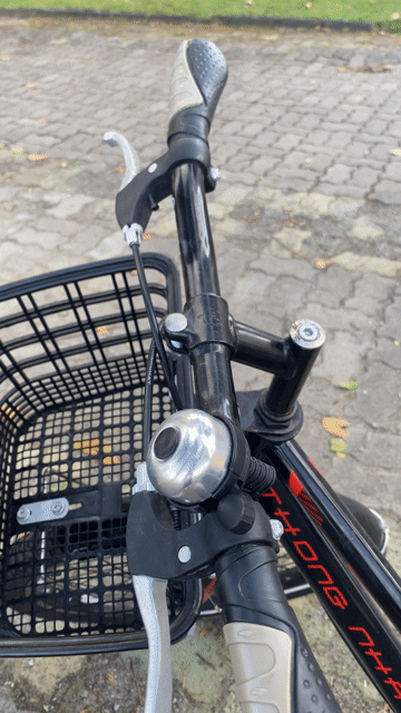Xe đạp trẻ em Thống Nhất GN06-20 Đen 20 inch. Mua bán Xe đạp tại Quận Sơn Trà Đà Nẵng được đăng bởi Tu Hanh hình 1