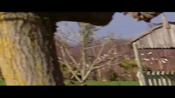 de l'apprenti au professionnelle