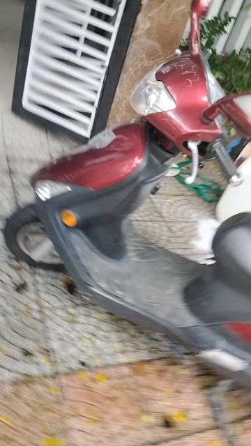 Bán xe máy. Mua bán Xe máy tại Quận Cẩm Lệ Đà Nẵng được đăng bởi Tên chưa cung cấp hình 1