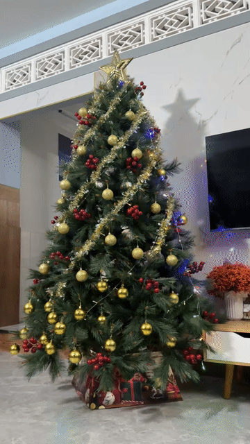 Cây thông Noel Megamarket 2,2m. Mua bán Cây cảnh, đồ trang trí tại Huyện Nhơn Trạch Đồng Nai được đăng bởi Nguyên hình 1