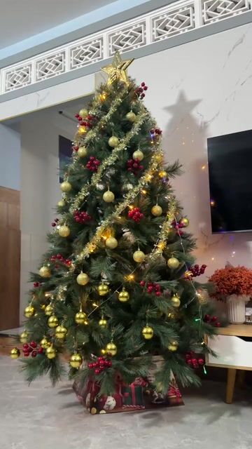 Cây thông Noel Megamarket 2,2m. Mua bán Cây cảnh, đồ trang trí tại Huyện Nhơn Trạch Đồng Nai được đăng bởi Nguyên hình 1