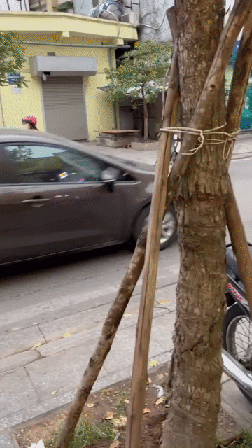 Cho thuê Căn hộ Chung cư Quận Cầu Giấy Hà Nội diện tích 70 m² giá 8,5 triệu/tháng