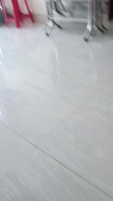 Chim chào mào CM mùa 2 đực nâu trắng hót xòe. Mua bán Chim tại Quận Tân Bình Tp Hồ Chí Minh được đăng bởi Nguyễn Trọng Việt hình 1