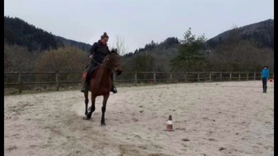 Monitrice d'équitation, un métier plein de plaisir