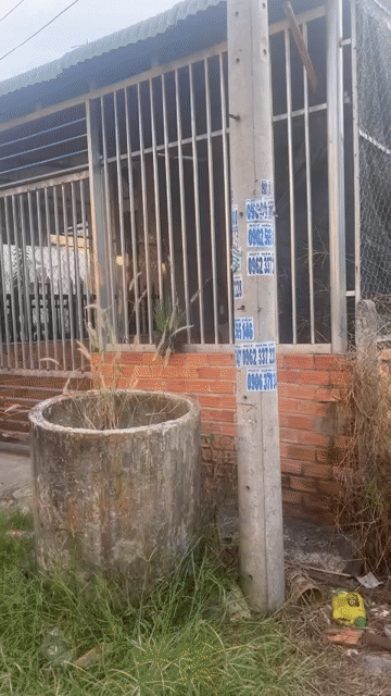 Mua bán Đất Huyện Trảng Bàng Tây Ninh diện tích 96 m² giá 815 triệu