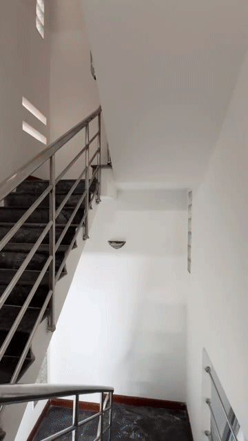 Cho thuê Căn hộ Chung cư Quận Gò Vấp Tp Hồ Chí Minh diện tích 60 m² giá 8,5 triệu/tháng