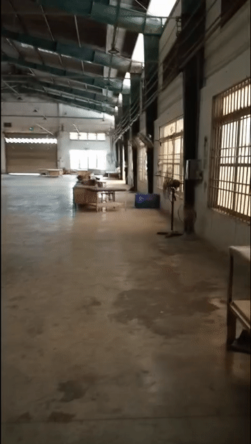 Cho thuê Văn phòng, Mặt bằng kinh doanh Thành phố Thuận An Bình Dương diện tích 12000 m² giá 460000 đ/tháng