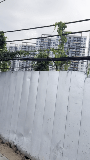 Mua bán Đất Huyện Bình Chánh Tp Hồ Chí Minh diện tích 2400 m² giá 24 tỷ