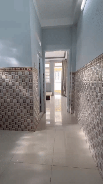 Cho thuê Căn hộ Chung cư Quận 3 Tp Hồ Chí Minh diện tích 40 m² giá 6,5 triệu/tháng