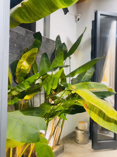 Cho thuê Nhà ở Quận Cẩm Lệ Đà Nẵng diện tích 72 m² giá 17 triệu/tháng
