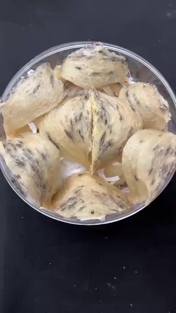 Sợi gân mỏng bụng. Mua bán Đồ ăn, thực phẩm và các loại khác tại Quận Gò Vấp Tp Hồ Chí Minh được đăng bởi BÙI THỊ YẾN OANH  hình 1