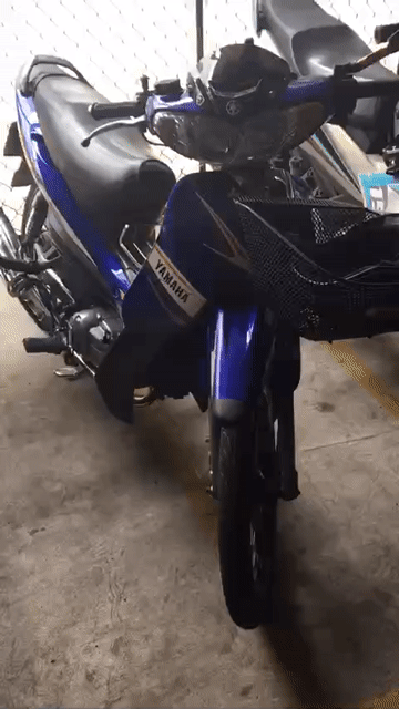 Yamaha Jupiter R Xanh zin Thể thao. Mua bán Xe máy tại Thị xã Bến Cát Bình Dương được đăng bởi Văn hai Ly hình 1