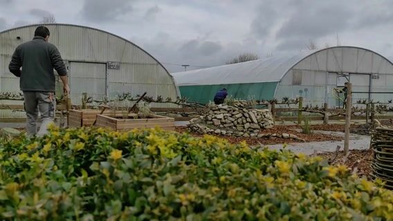 Paysagiste d'aujourd'hui