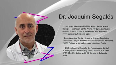 Porcine Cacircovirus 2 | Interview with Dr. Joaquim Segalés
