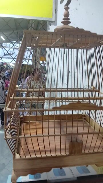 Lồng chim tre màu nâu đầy đủ phụ kiện. Mua bán Phụ kiện, Thức ăn, Dịch vụ tại Huyện Củ Chi Tp Hồ Chí Minh được đăng bởi nghèo mà có tình  hình 1