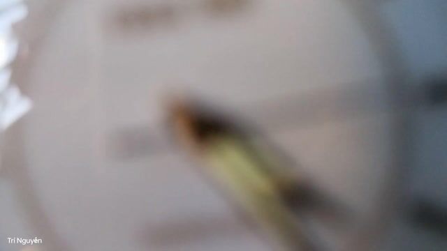 🔥ĐH Citizen Freeway,pin solar,form mỏng,mới cứng. Mua bán Đồng hồ tại Quận Hải Châu Đà Nẵng được đăng bởi Đồng Hồ Bãi Nhật Bản hình 1