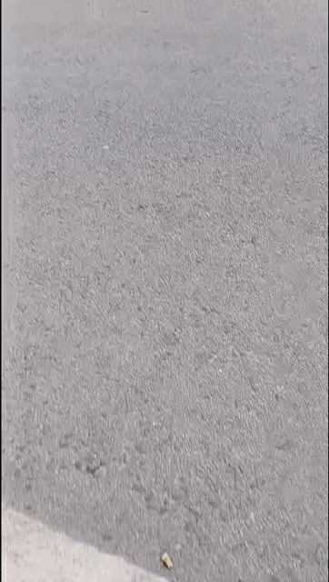 Cho thuê Văn phòng, Mặt bằng kinh doanh Huyện Hóc Môn Tp Hồ Chí Minh diện tích 1200 m² giá 90 triệu/tháng