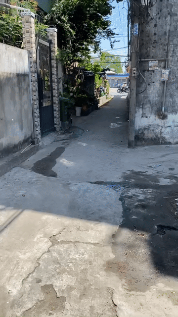 Mua bán Nhà ở Huyện Bình Chánh Tp Hồ Chí Minh diện tích 192 m² giá 9 tỷ