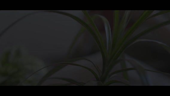 La Perle de Lorraine