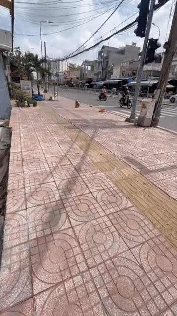 Cho thuê Văn phòng, Mặt bằng kinh doanh KDC Nam Hùng Vương Quận Bình Tân Tp Hồ Chí Minh diện tích 200 m² giá 50 triệu/tháng